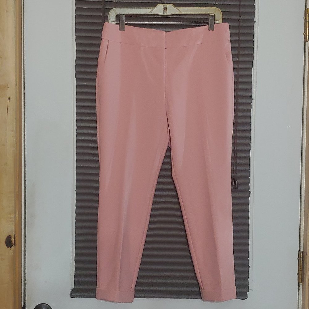 Loft Petites womans pants  size 8P